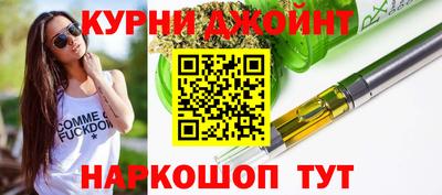мдпв Кингисепп