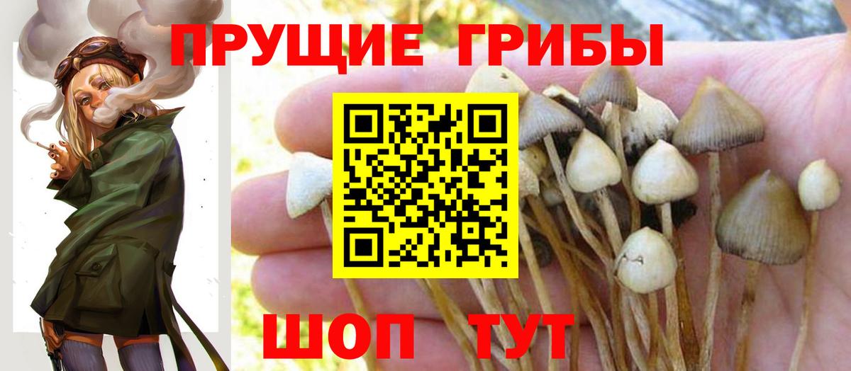 Галлюциногенные грибы мухоморы  Псилоцибиновые грибы прущие грибы  Курчатов  Вход с VPN 